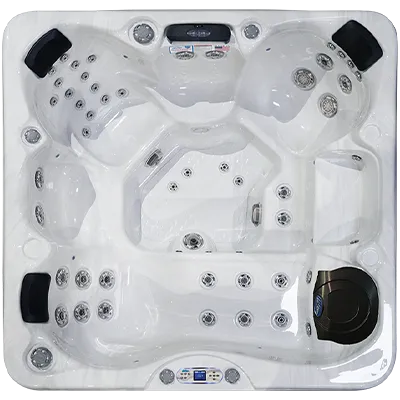 Avalon EC-849L hot tubs for sale in Citrusheights